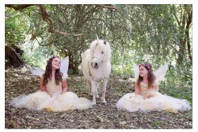 The Unicorn Experience Wedding Accessory Hire Profile 1