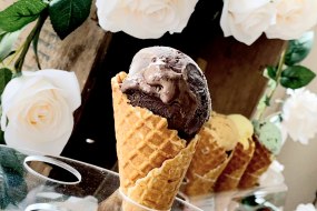 Delicious Dreams Ice Creams Alcoholic Ice Cream Hire Profile 1