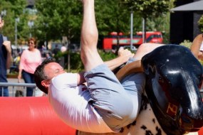 A Load Of Bull Belfast Fun Fair Rides Profile 1