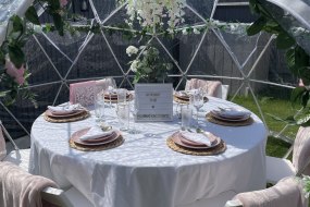 Carnations Events Event Planners Profile 1