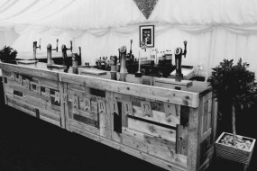 Lion Outside Bars & Hog Roasts Mobile Bar Hire Profile 1