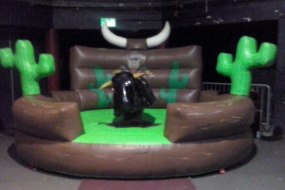 Zebedee Castles Rodeo Bull Hire Profile 1