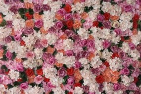 Als Decor Flower Wall Hire Profile 1