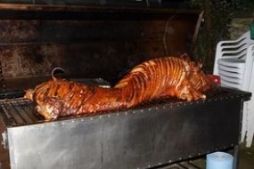 Nibley Hog Roasts Buffet Catering Profile 1