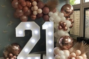 Olive & Co  Balloon Decoration Hire Profile 1