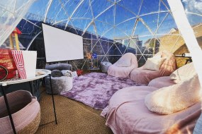 Igloo by Q Igloo Dome Hire Profile 1