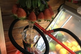 Shisha Delivery Shisha Hire Profile 1