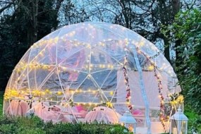 Flamingo Garden Igloos Igloo Dome Hire Profile 1