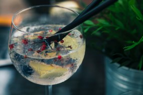 The Warwickshire Bar Company Mobile Gin Bar Hire Profile 1