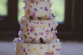 A Magical Slice Wedding Cakes Profile 1