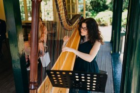 Noa Davies-Harpist Harpist Hire Profile 1