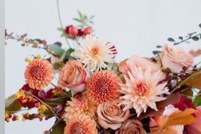 Queeny Bee & Co Florists Profile 1