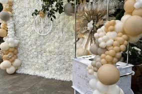 Balloon it  Balloon Decoration Hire Profile 1