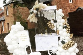 Pop the Bubbles Events Flower Wall Hire Profile 1