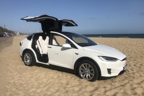 Tesla Taxis Taxi Hire Profile 1