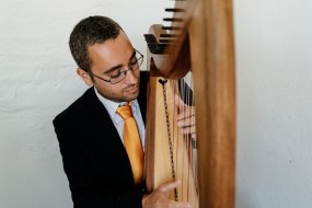 Wedding Harpist Mark Levin Harpist Hire Profile 1