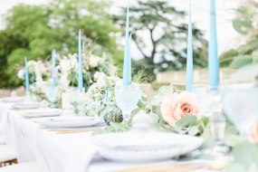 Knots and Nuptials Wedding Planner Hire Profile 1