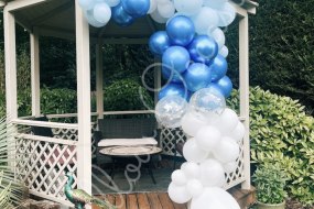 Willow Occasions Balloon Decoration Hire Profile 1