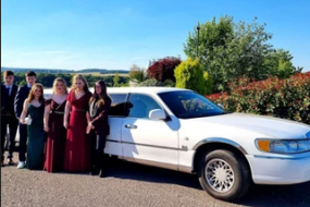 Level Hire  Wedding Car Hire Profile 1