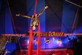 Aerialism Circus Aerialists for Hire Profile 1