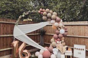 Traius Balloon Decoration Hire Profile 1