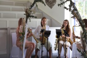 Wisteria Quartet Classical Musician Hire Profile 1