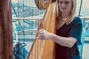 DL Entertainments Harpist Hire Profile 1