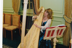 oxfordshire harpist Harpist Hire Profile 1