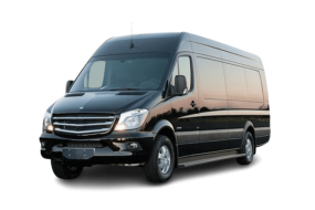 Scotland Minibus Hire Luxury Minibus Hire Profile 1