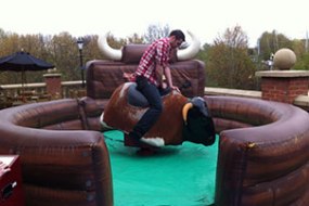 Big Bounce Ltd Rodeo Bull Hire Profile 1