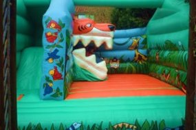 Big on Bouncing Limited Inflatable Slide Hire Profile 1