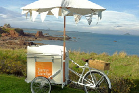 Sunny Sundae Ice Cream Cart Hire Profile 1