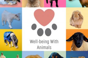 Well-being With Animals Animal Parties Profile 1