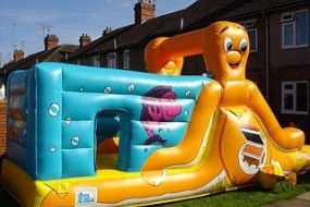 Kiddy Castles Inflatable Slide Hire Profile 1