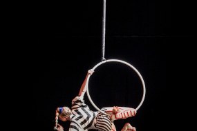 The Dream Team - Princess & Character Entertainment Aerialists for Hire Profile 1