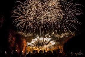 Rave Fireworks Ltd Firework Suppliers Profile 1