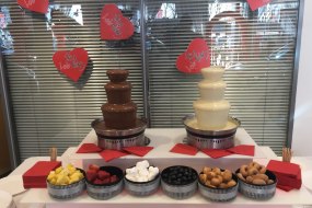 Partyhirenortheast Chocolate Fountain Hire Profile 1