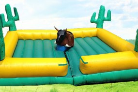 Jumping Jacks Inflatable Slide Hire Profile 1