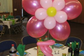 BB Balloonz Balloon Decoration Hire Profile 1