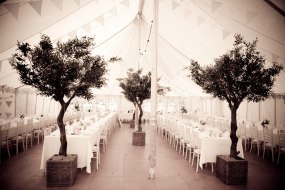 Bond Marquees Luxury Marquee Hire Profile 1