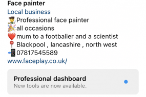 Faceplay  Face Painter Hire Profile 1