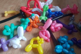 Harry's Balloon Modelling  Florists Profile 1