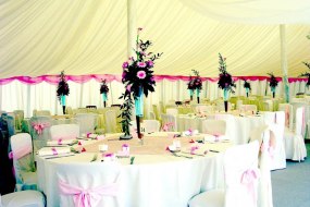 Royal Marquees Chair Cover Hire Profile 1