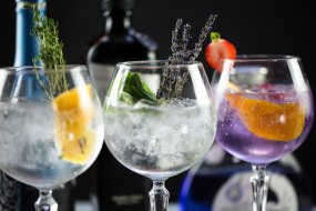 Spritz Bartenders Mobile Gin Bar Hire Profile 1