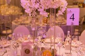 O.R. Butterfly Events Wedding Accessory Hire Profile 1