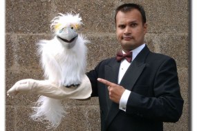 Daniel Dee - Ventriloquist and Entertainer Magicians Profile 1