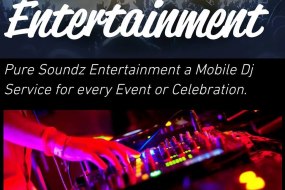 Pure Soundz Entertainment Audio Visual Equipment Hire Profile 1