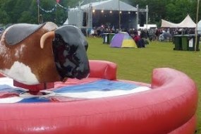 Rodeo Bull Norfolk Inflatable Slide Hire Profile 1