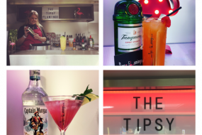 The Tipsy Flamingo  Mobile Bar Hire Profile 1