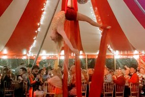 Bigtopmania Aerialists for Hire Profile 1